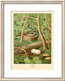 Whippoorwill Pósters