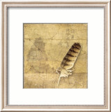 Owl Feather Prints by Susan Friedman