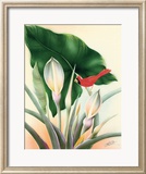 Cardinal Framed Giclee Print by Frank Oda