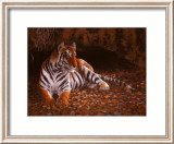 La guarida del tigre Láminas por W. Michael Frye