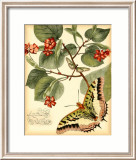 Whimsical Butterflies I Arte