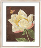 Garden Peony II Lámina por Katie Pertiet Garden Peony II Lámina por Katie Pertiet