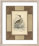 Marshland Bittern Art par Alastair Reynolds
