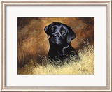 Black Labrador Innrammet trykk – spesialversjon av Richard Britton Black Labrador Innrammet trykk – spesialversjon av Richard Britton
