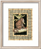 Monkey with Rattan Border II Poster av Kayla Boekman Monkey with Rattan Border II Poster av Kayla Boekman