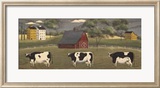 Vacas y toros Láminas por Chris Palmer