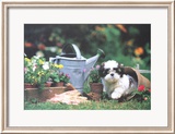 Puppy's Paradise Reproduction encadrée édition limitée par Harvey Edwards