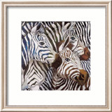 Zebra's Kiss Poster av LISA BENOUDIZ