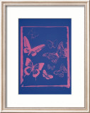 Vanishing Animals: Butterflies, c.1986 (Hot Pink on Blue) Poster von Andy Warhol