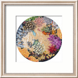 Tidepool II with Turtle Posters par Mark Mackay