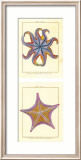 Sea Jewels Posters by Paolo Ruffino