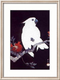 Ukiyo-E Perroquet Affiches par Ohara Shoson