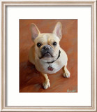 Sophie French Bulldog Pósters por Robert Mcclintock Sophie French Bulldog Pósters por Robert Mcclintock