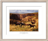 Mustangs por el cañón Póster por John Leone Mustangs por el cañón Póster por John Leone