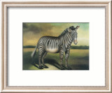 Zebra Prints by Denise Crawford