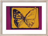 Vanishing Animals: Butterfly, c.1986 (Yellow on Purple) Poster by Andy Warhol