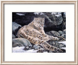 Awake Snow Leopard Print by Alan Sakhavarz