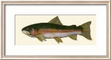 Steelhead Trout Kunst av Teri Renee Blehm Steelhead Trout Kunst av Teri Renee Blehm