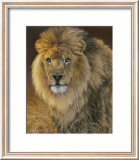 Power and Presence: African Lion Pósters por Joni Johnson-godsy