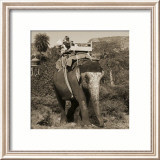 Man with Beard Riding Elephant Affiches par Nelson Figueredo