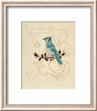 Filigree Jay Láminas por Chad Barrett