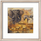 Safari II Posters av Peter Blackwell