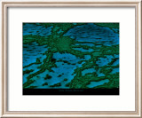 Grande barrière de corail Affiche par Yann Arthus-Bertrand
