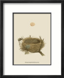 Antique Nest and Egg II Posters par Reverend Francis O. Morris