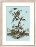 Avian Toile III Láminas Avian Toile III Láminas