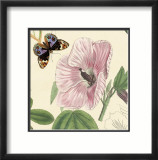 Hibiscus Posters par Louis Van Houtte
