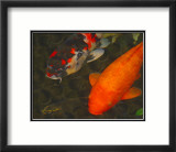 Green Rock Japanese Koi II Lámina giclée enmarcada por erichan Green Rock Japanese Koi II Lámina giclée enmarcada por erichan