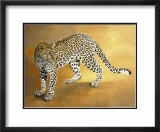 Leopard de Seronera Prints by Danielle Beck