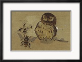 Owl And Bee Reproduction encadrée édition limitée par Joseph Crawhall