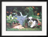 Puppy's Paradise Reproduction encadrée édition limitée par Harvey Edwards