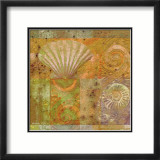 Seashell Collage Prints by Pierre Fortin