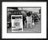 Perro a la venta Pósters Perro a la venta Pósters