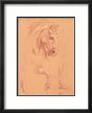 Pferdekopf Kunst von Pier Leone Ghezzi