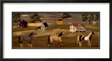 Caballos Pósters por Chris Palmer