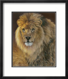 Power and Presence: African Lion Pósters por Joni Johnson-godsy
