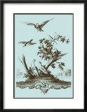 Avian Toile IV Pósters