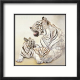 Tigres Blancs, Mere et Fille Posters av Danielle Beck