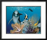 Coral Garden and Dolphin Affiches par Mark Mackay