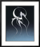 Eclipse With Wolf Spirit Limited Edition Framed Print by Rick Beaver