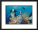 Coral Garden and Dolphin Affiches par Mark Mackay