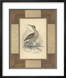 Marshland Bittern Art par Alastair Reynolds