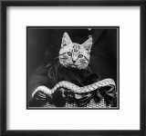 French Tabby Cat Posters par Mesh Gabriella