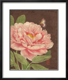 Garden Peony I Láminas por Katie Pertiet Garden Peony I Láminas por Katie Pertiet