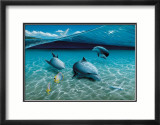The Chase, Maui Dolphins Posters par Mark Mackay