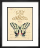 Filigree Papillon Láminas por Chad Barrett Filigree Papillon Láminas por Chad Barrett