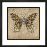 Leopard Butterfly Plakat av Jennifer Brice Leopard Butterfly Plakat av Jennifer Brice